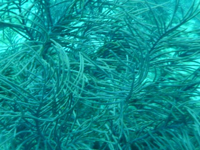 dsc00170